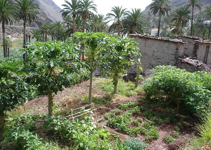 Goyo Gomera *