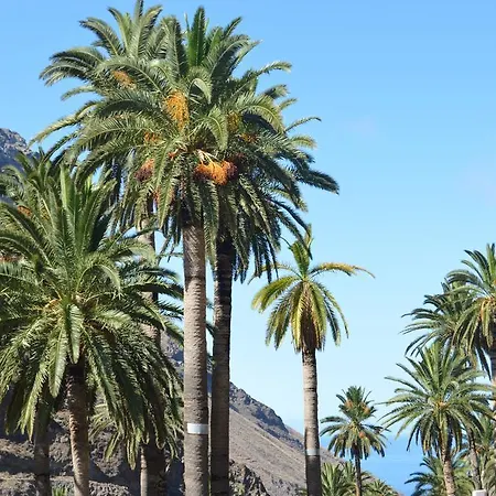 Goyo Gomera Apartment