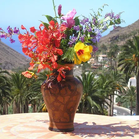 Goyo Gomera Apartment