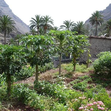 Apartamento Goyo Gomera *