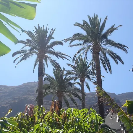 Goyo Gomera Apartment Valle Gran Rey