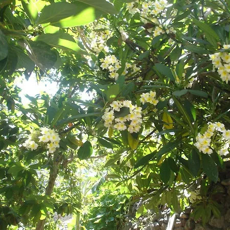 Apartment Goyo Gomera *