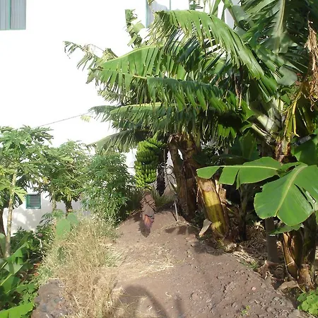 Apartamento Goyo Gomera